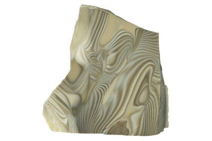 Polished, Striped Flint Stand Up - Poland #228136